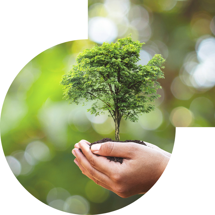 關懷人類、文化、環境與社會